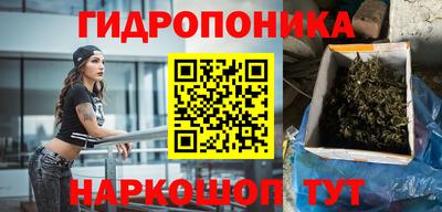 СК Мариинск