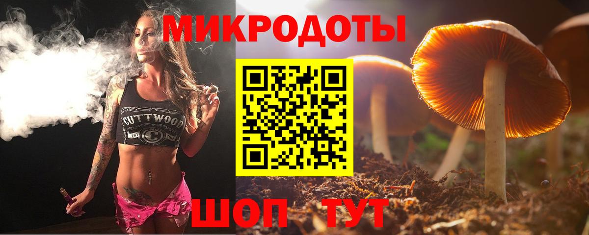 Будённовск  Галлюциногенные грибы Magic Shrooms  Вход с VPN 